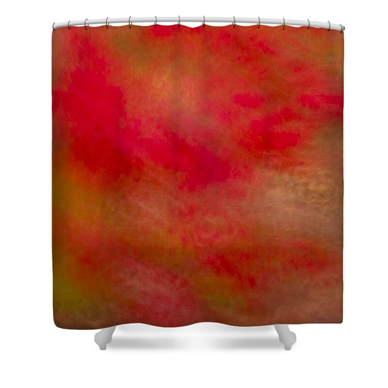 Impressionistic Shower Curtain featuring the photograph Red Dancer by Irwin Barrett