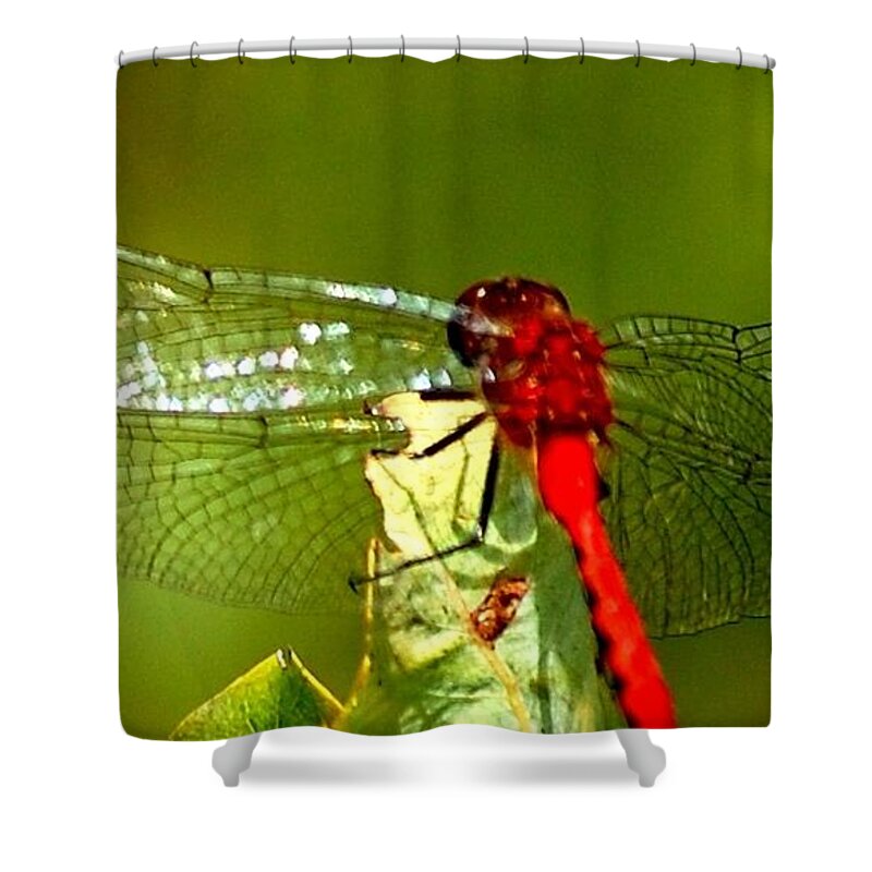 Digital Photograph Shower Curtain featuring the photograph Red Dragon 2 by David Lane