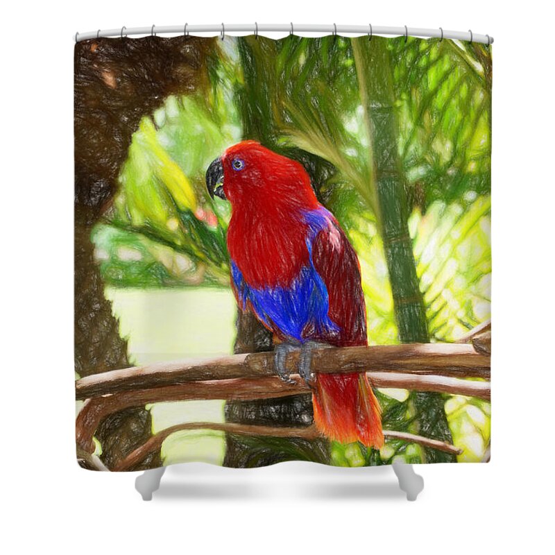 Hawaii Shower Curtain featuring the photograph Red Eclectus Parrot by Sue Melvin