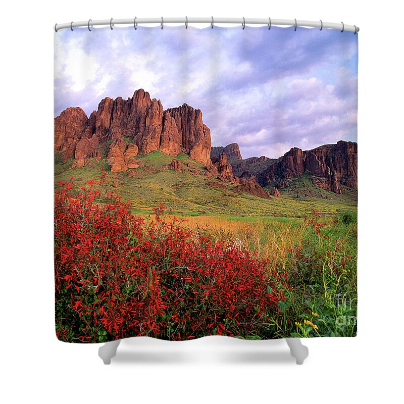 Superstition Mts Shower Curtain featuring the photograph Red Flowers Superstition Mts Lost Dutchman State Park AZ by Joanne West
