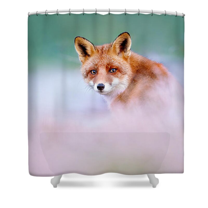 Red Fox Shower Curtain featuring the photograph Red Fox in a Mysterious World by Roeselien Raimond