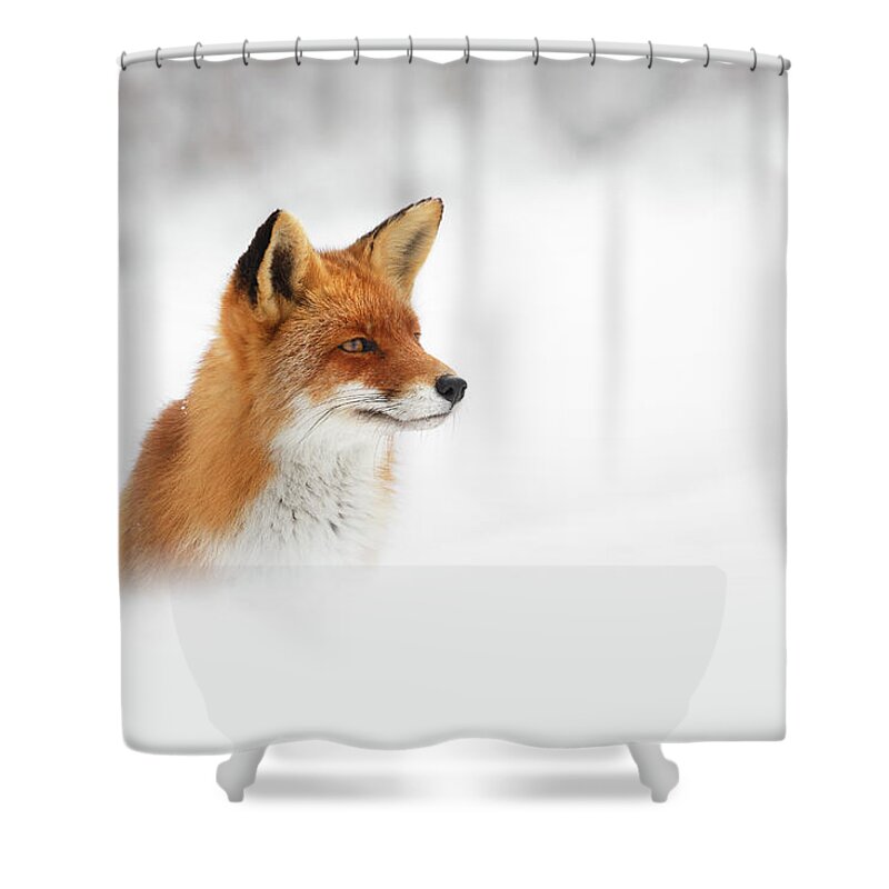 Fox Shower Curtain featuring the photograph Red Fox out of the Blue by Roeselien Raimond
