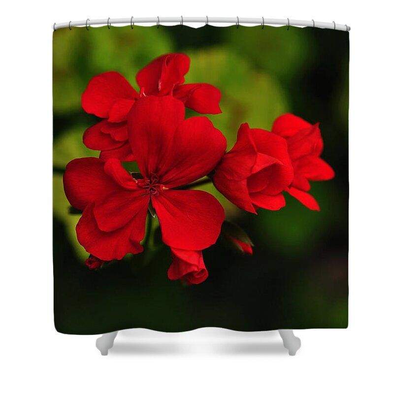 Photography Shower Curtain featuring the photograph Red Geranium by Kaye Menner