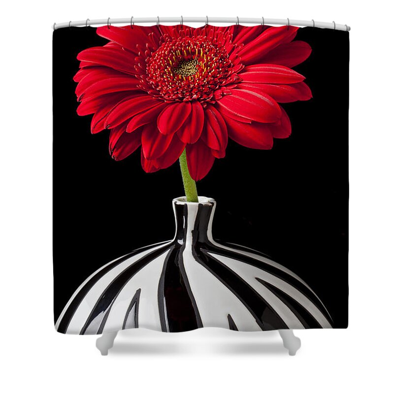 Red Shower Curtain featuring the photograph Red Gerbera Daisy by Garry Gay