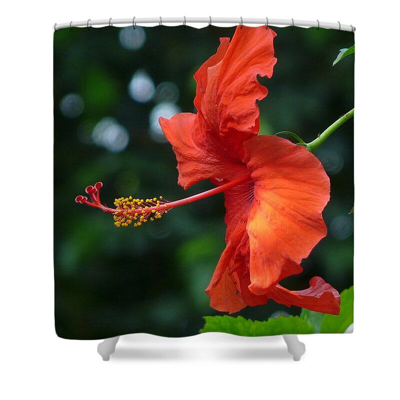 Flower Shower Curtain featuring the photograph Red Hibiscus by Valerie Ornstein