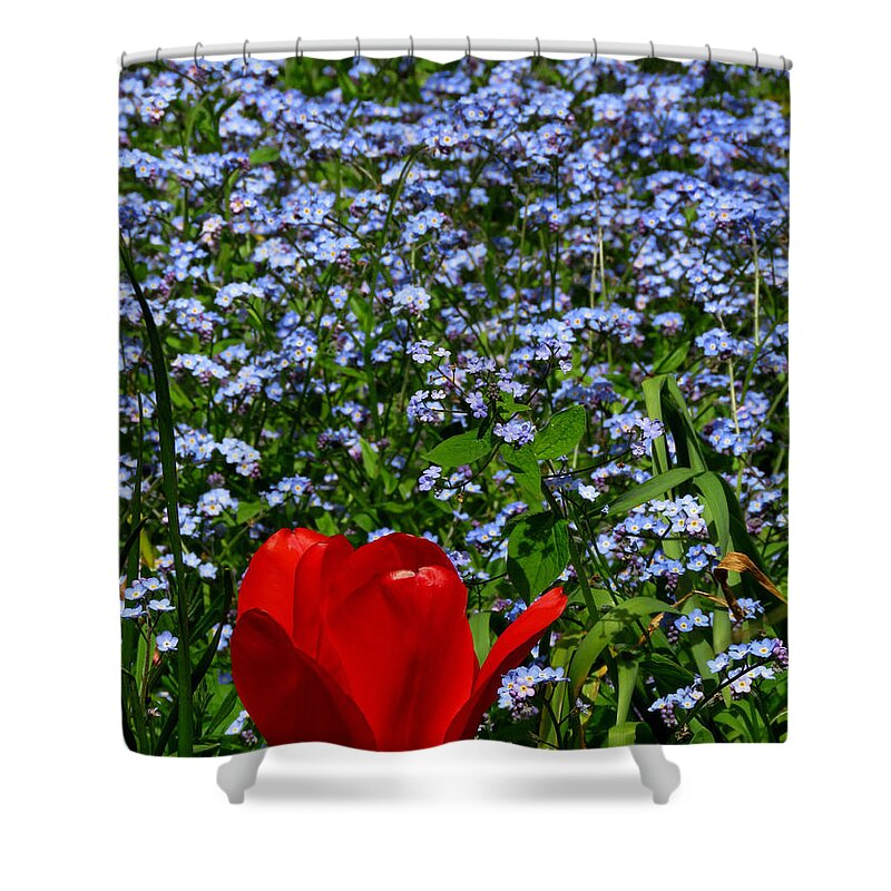 Flowers Shower Curtain featuring the photograph Red in Blue2 by John Topman