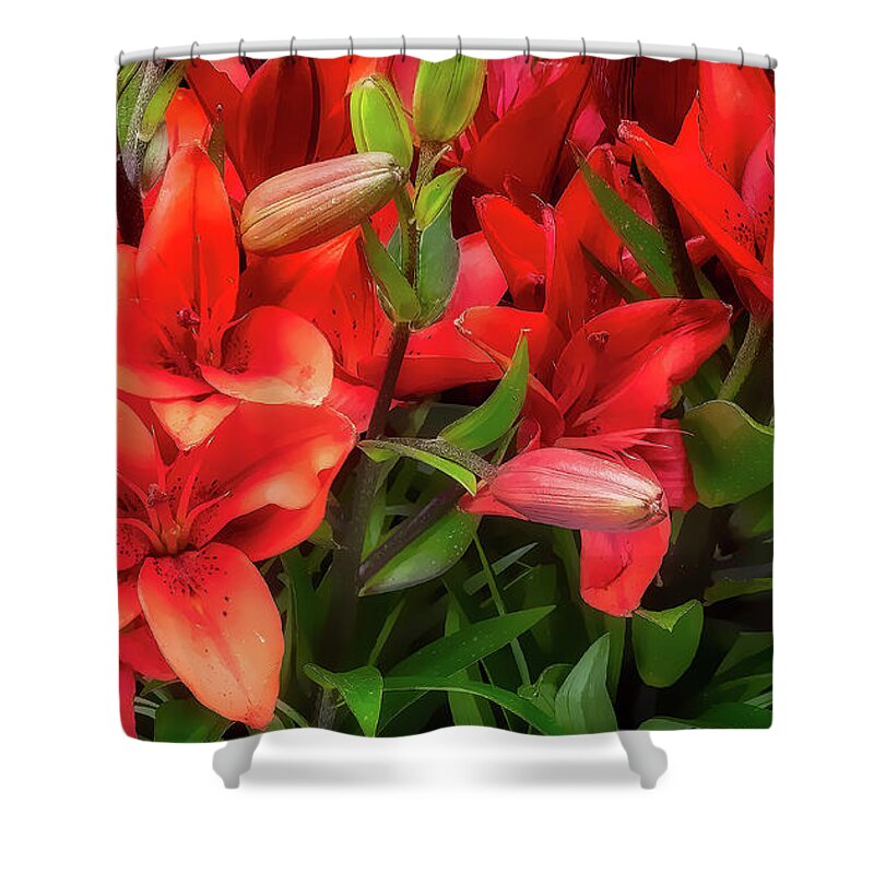 Abstract Shower Curtain featuring the photograph Red Lilies by Jerry Fornarotto