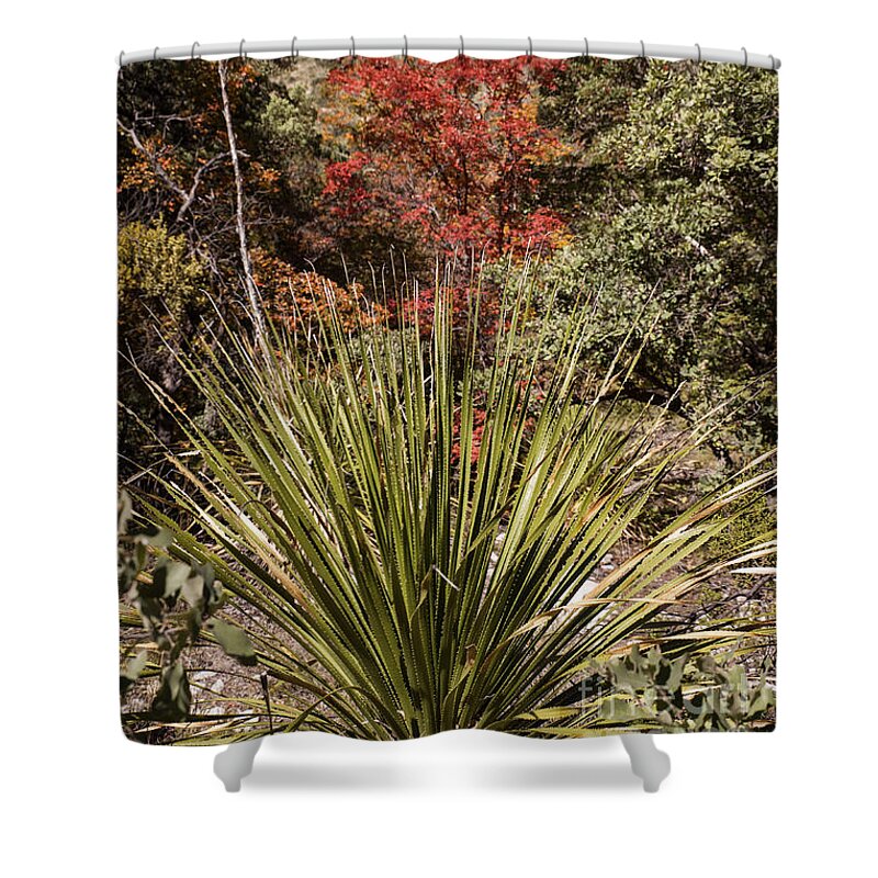Guadalupe Mountains Shower Curtain featuring the photograph Red by Melany Sarafis