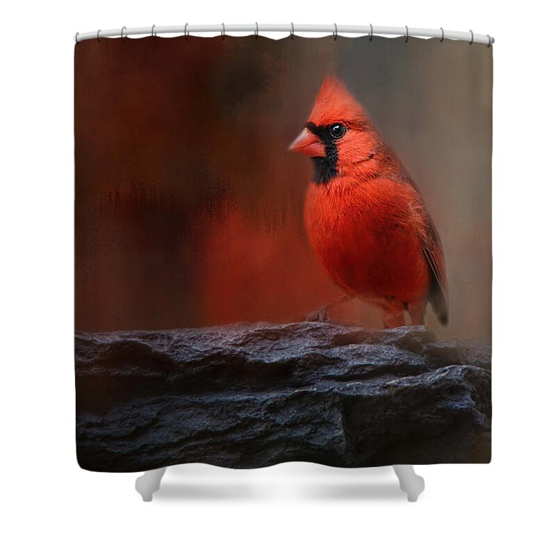 Jai Johnson Shower Curtain featuring the photograph Red On The Rocks - Cardinal Bird Art by Jai Johnson