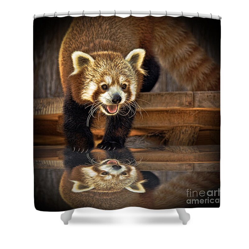 Red Panda Shower Curtain featuring the photograph Red Panda altered version by Jim Fitzpatrick