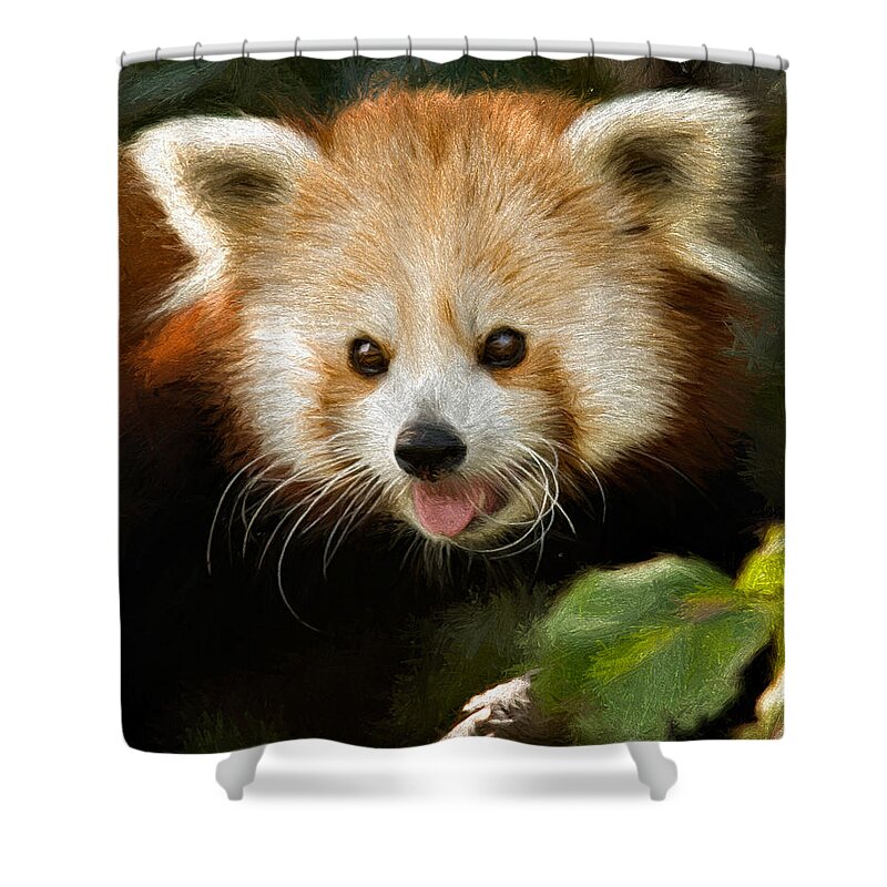 Adorable Shower Curtain featuring the photograph Red Panda by Lana Trussell