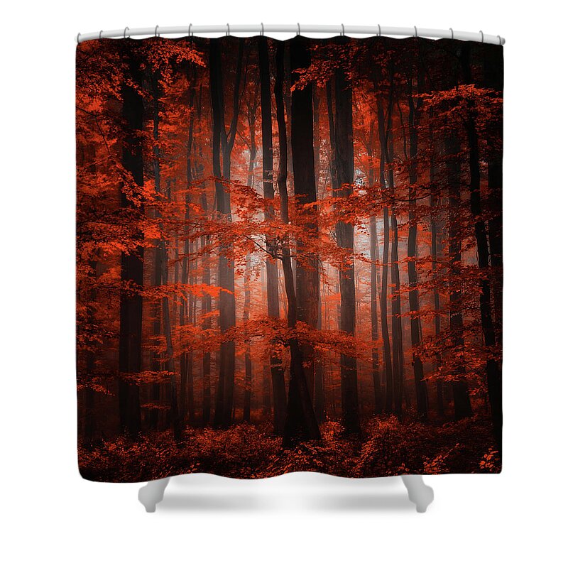 Forest Shower Curtain featuring the photograph Red Parallel Universe by Philippe Sainte-Laudy