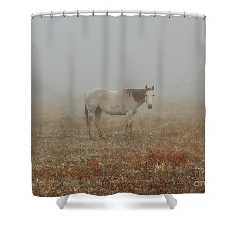 Horse Shower Curtain featuring the photograph Red Roan In Mist by Robert Frederick