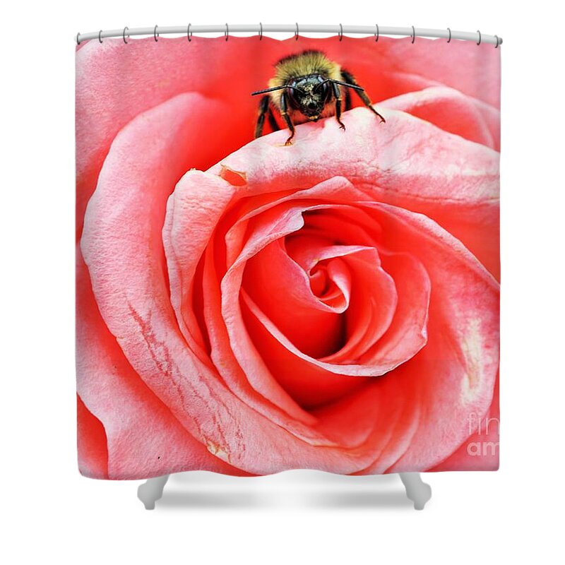Rose Shower Curtain featuring the photograph Red rose and bee by Merle Grenz