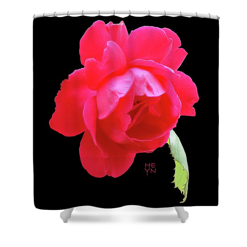 Cutout Shower Curtain featuring the photograph Red Rose Cutout by Shirley Heyn