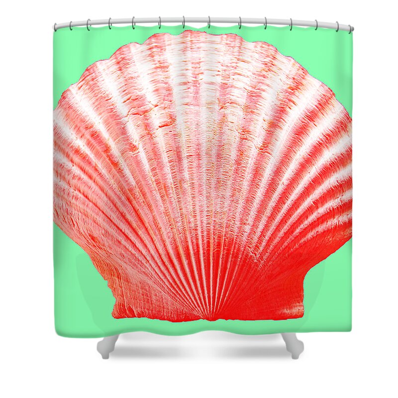 Sea Shower Curtain featuring the photograph Red Shell on Green by WAZgriffin Digital