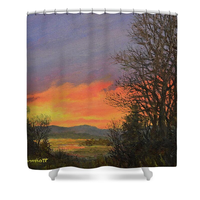 Sunset Shower Curtain featuring the painting Red Sky at Night by Kathleen McDermott