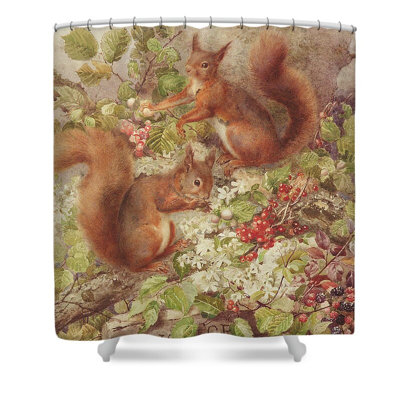 Squirrels Shower Curtain featuring the painting Red Squirrels Gathering Fruits and Nuts by Rosa Jameson