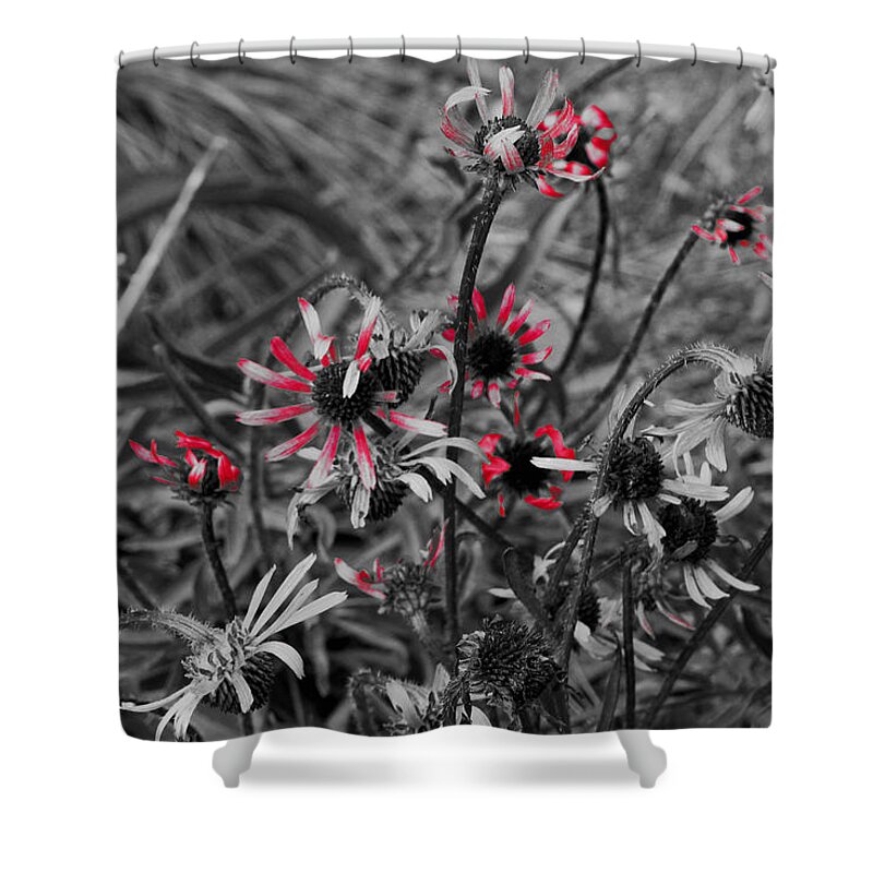 Fall Shower Curtain featuring the photograph Red Streaks by Deborah Crew-Johnson