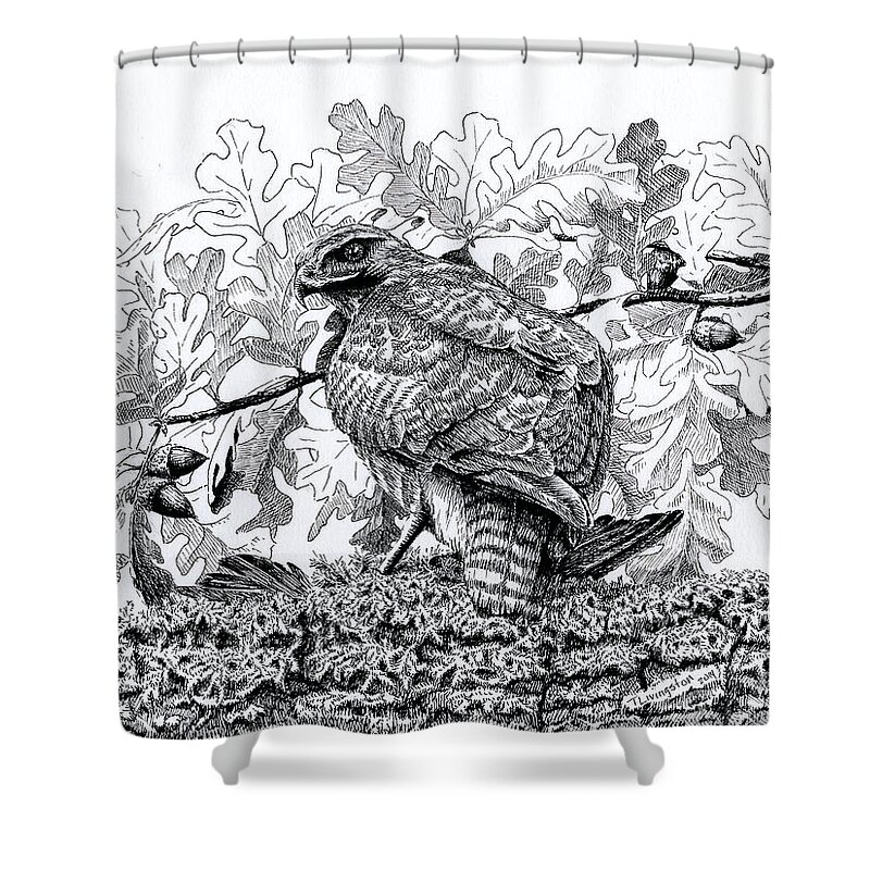 Red Tailed Hawk Shower Curtain featuring the drawing Red Tailed Huntress by Timothy Livingston