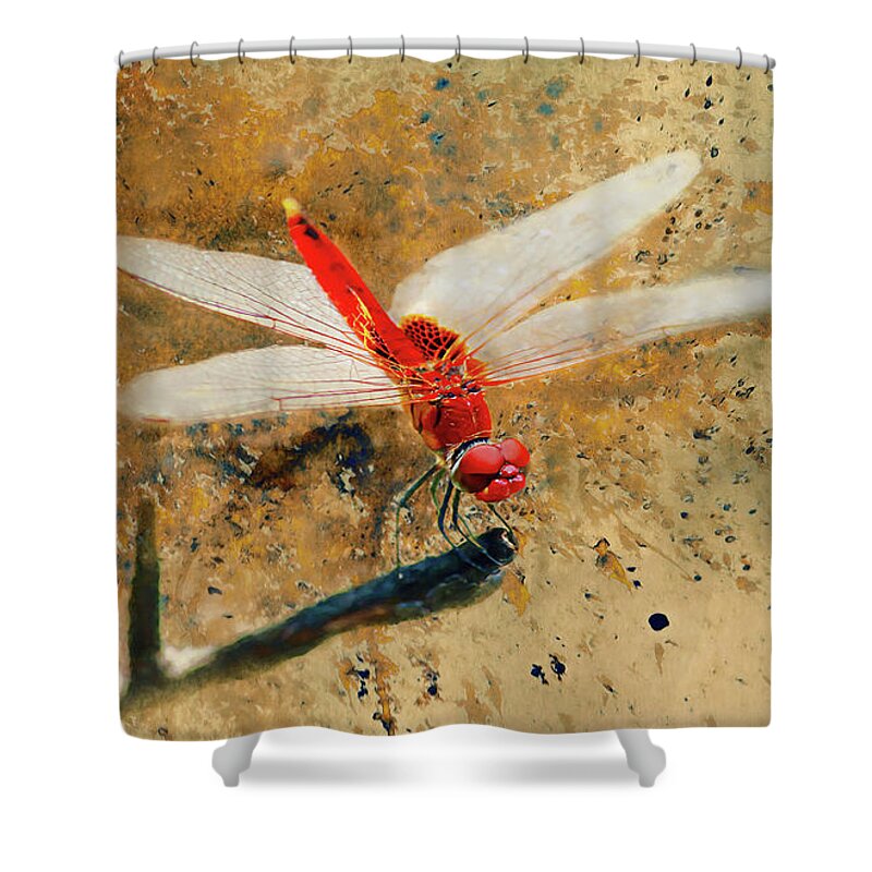Red Veined Darter Dragonfly Shower Curtain featuring the photograph Red Veined Darter Dragonfly by Bellesouth Studio