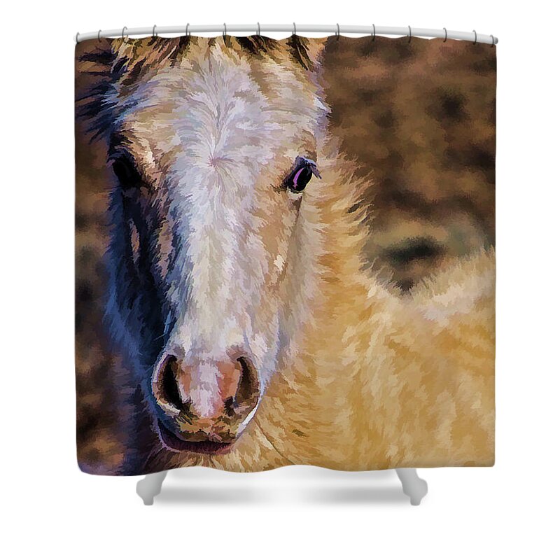 Santa Shower Curtain featuring the photograph Red Willow pony by Charles Muhle