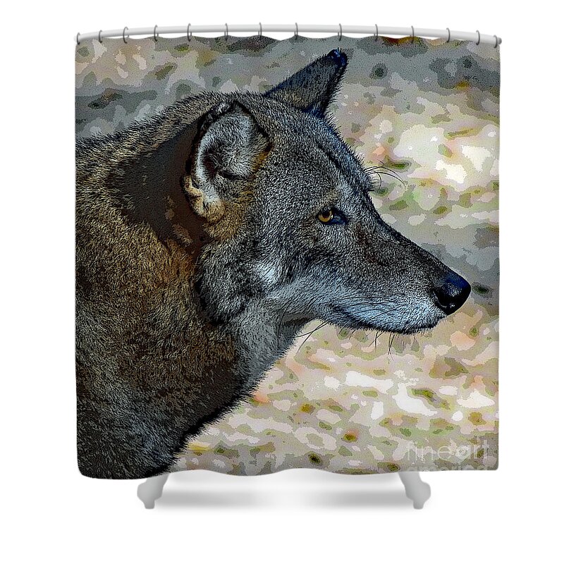 Art Shower Curtain featuring the photograph Red Wolf by DB Hayes