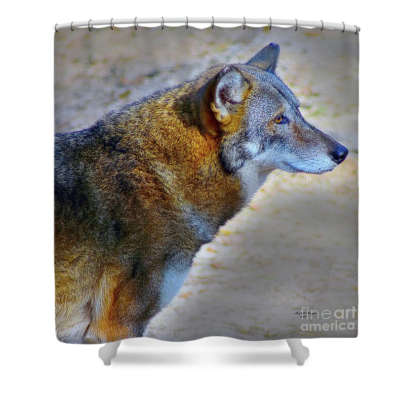 Nature Shower Curtain featuring the photograph Red Wolf Standing by DB Hayes