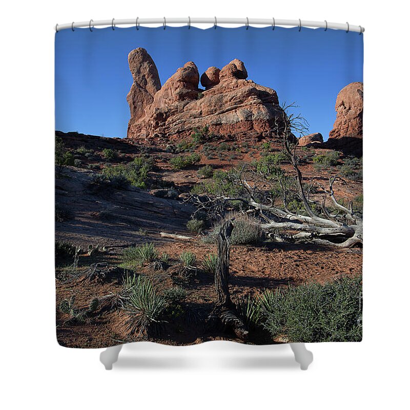 Utah Landscape Shower Curtain featuring the photograph Twisted Garden by Jim Garrison