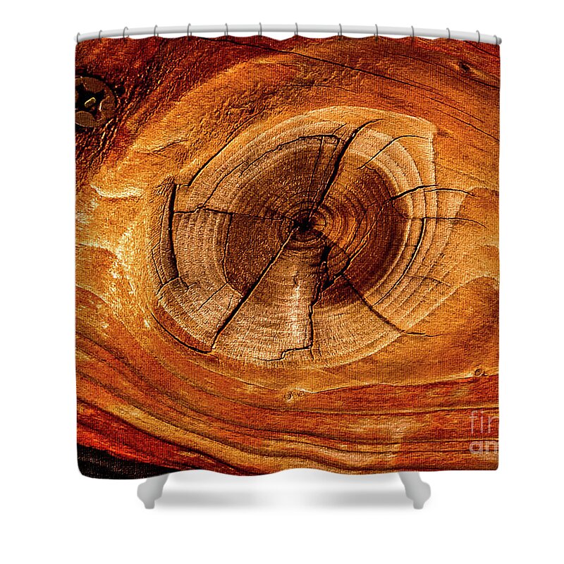 Mona Stut Shower Curtain featuring the photograph Redwood Eyes Life Lines by Mona Stut