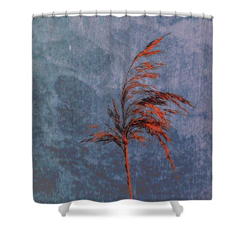Reed Shower Curtain featuring the photograph Reed #f9 by Leif Sohlman