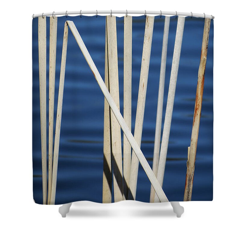 Water Shower Curtain featuring the photograph Reeds by Azthet Photography