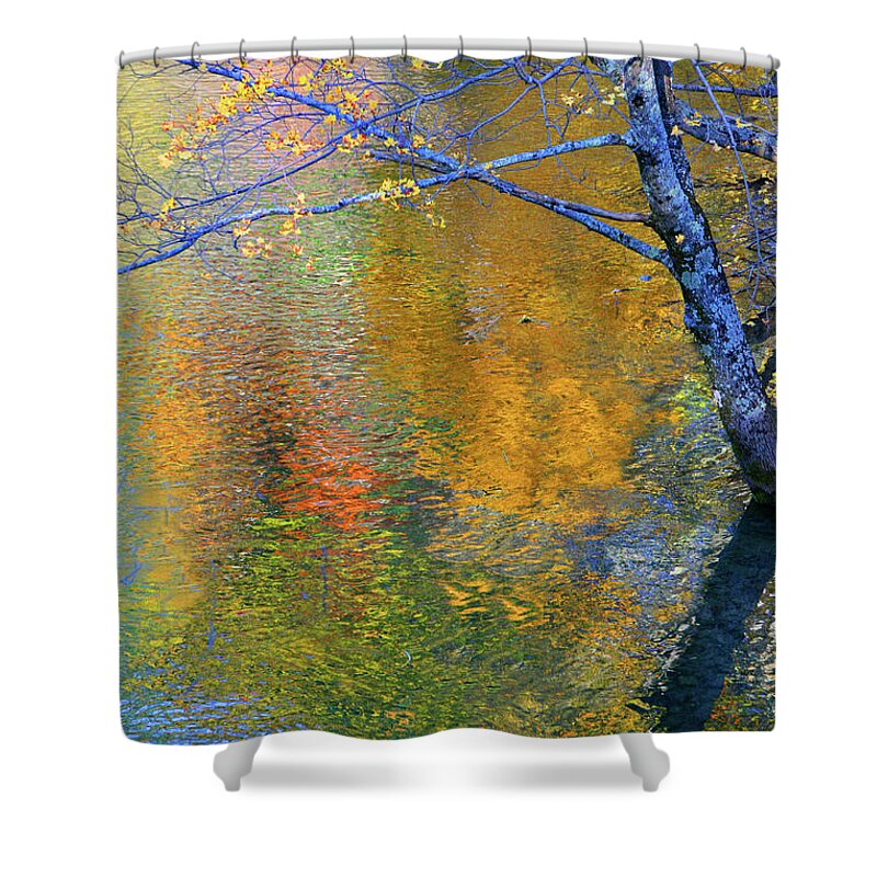 Fall Shower Curtain featuring the photograph Reflecting Autumn by Mariarosa Rockefeller