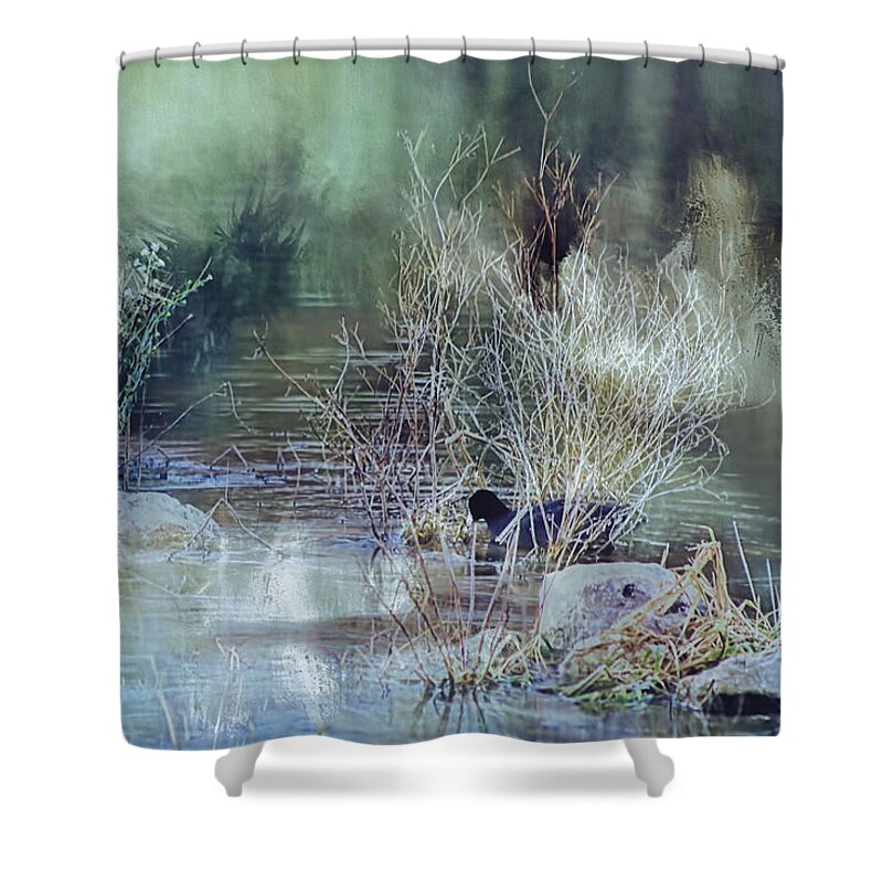 Coot Shower Curtain featuring the photograph Reflecting On A Misty Morning by Theresa Campbell