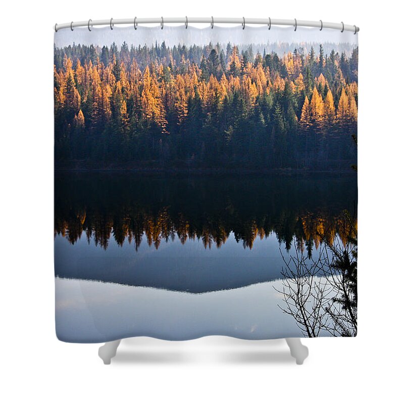 Tamarack Shower Curtain featuring the photograph Reflecting on Autumn by Albert Seger