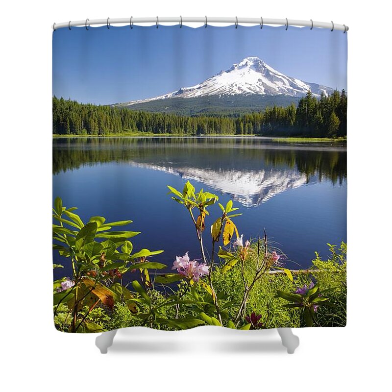 Flowers Shower Curtain featuring the photograph Reflection Of Mount Hood In Trillium by Craig Tuttle