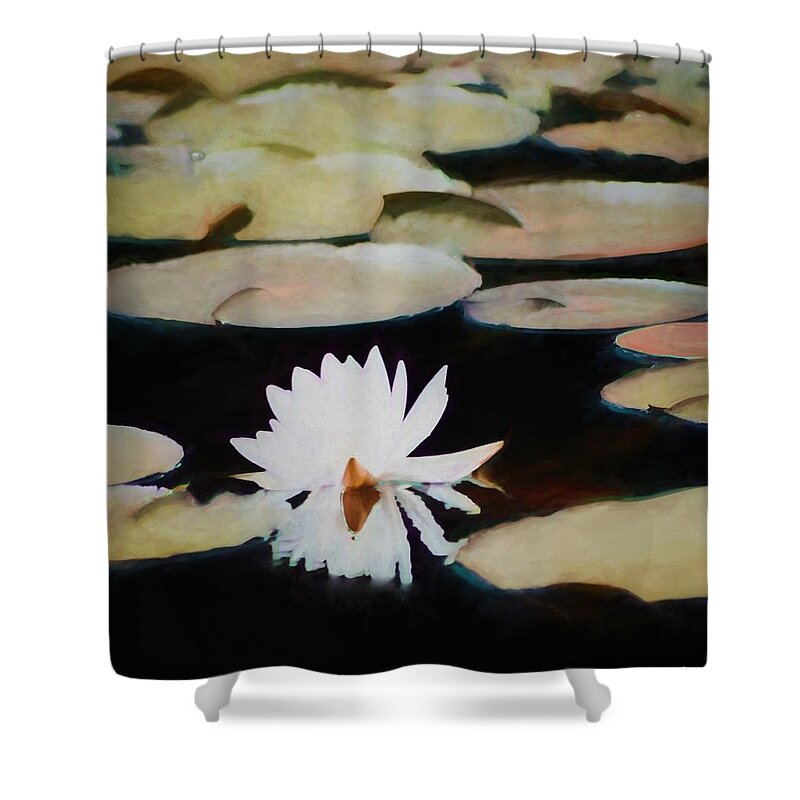 Reflection Pond Shower Curtain featuring the painting Reflection Pond by Debra   Vatalaro