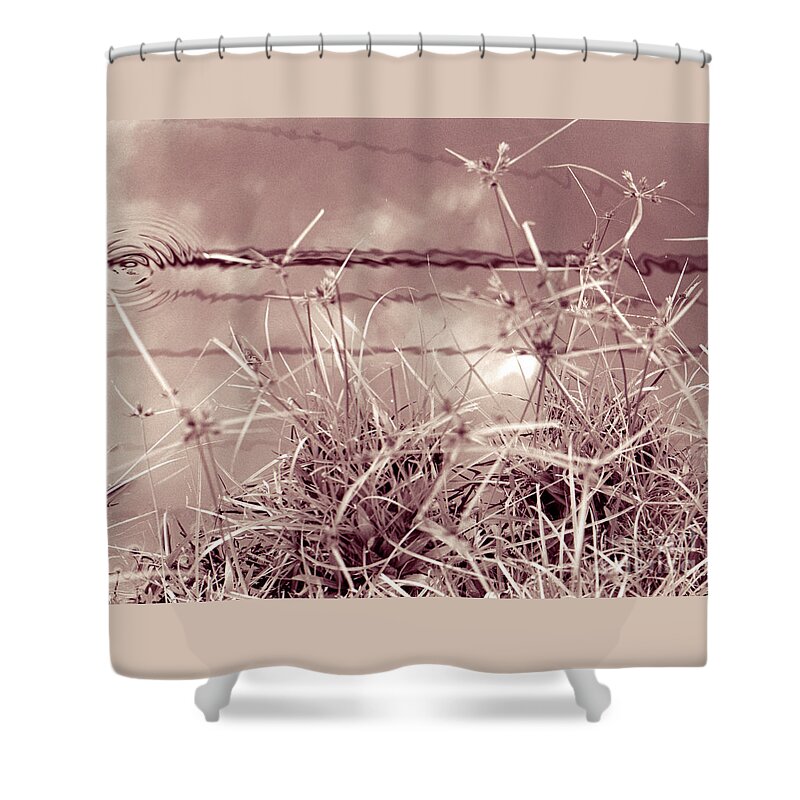 Reflections Shower Curtain featuring the photograph Reflections 1 by Mukta Gupta