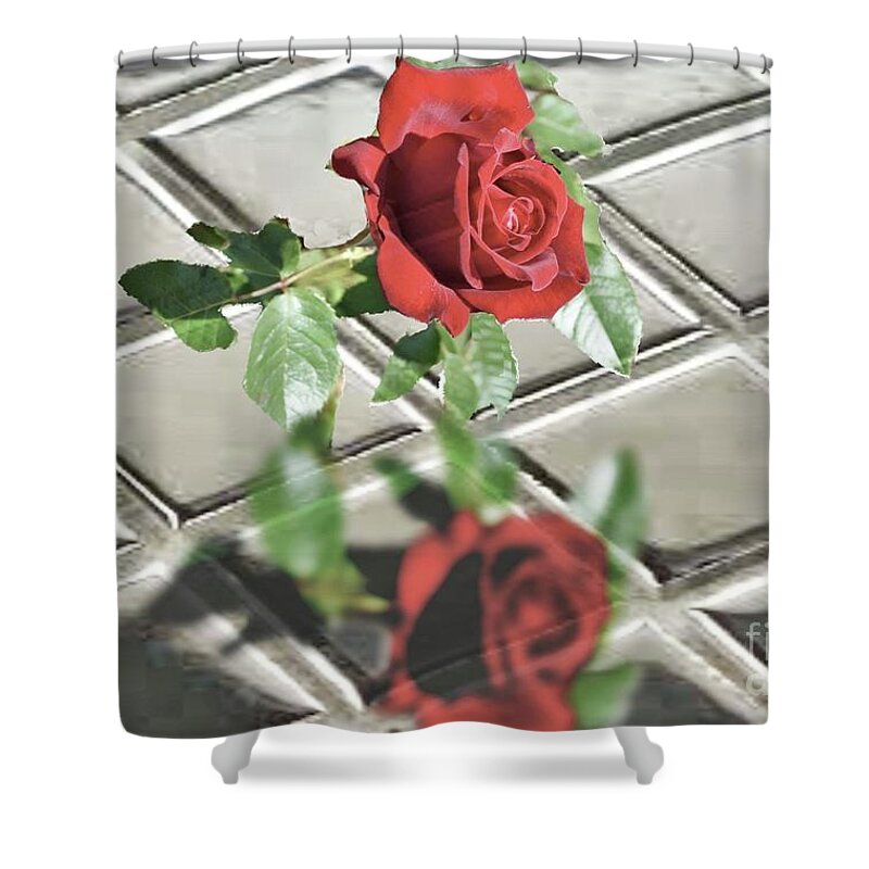Rose Shower Curtain featuring the photograph Reflections of a Red Rose by Janette Boyd