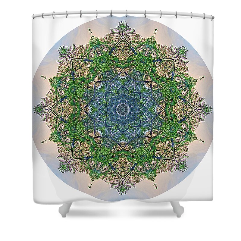 Mandala Shower Curtain featuring the digital art Reflections of Life Mandala by Beth Venner