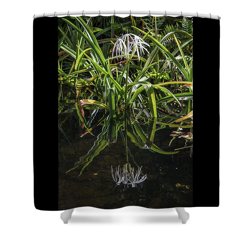 Everglades Shower Curtain featuring the photograph Reflections on the Edge of the Water by Debra and Dave Vanderlaan