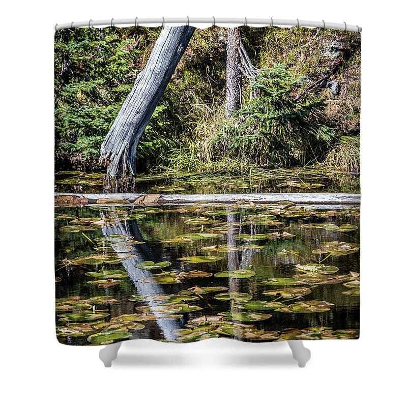 Autumn Shower Curtain featuring the photograph Reflections by Paul Freidlund
