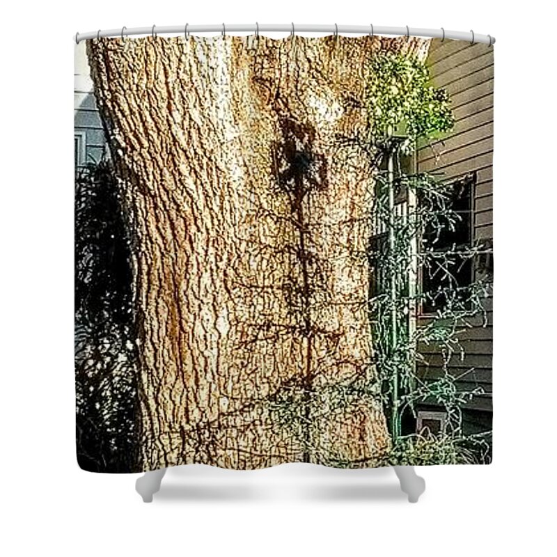 Shamrock Shower Curtain featuring the photograph Reflections by Suzanne Berthier