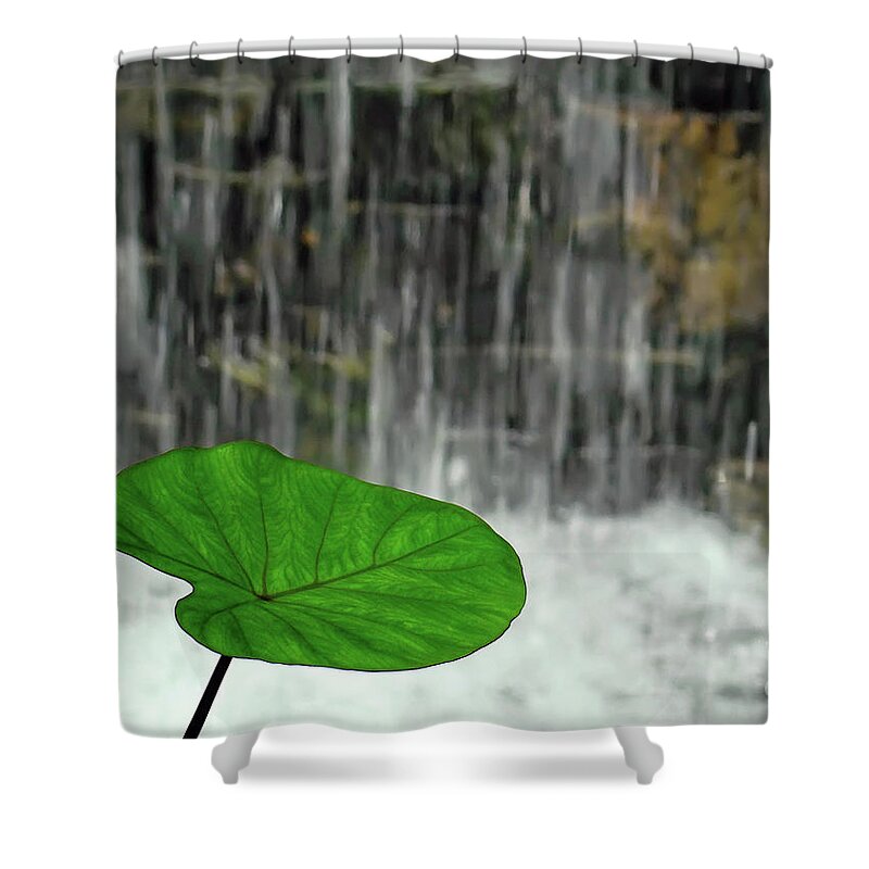 Nature Shower Curtain featuring the photograph Refreshed by the Waterfall by Sue Melvin