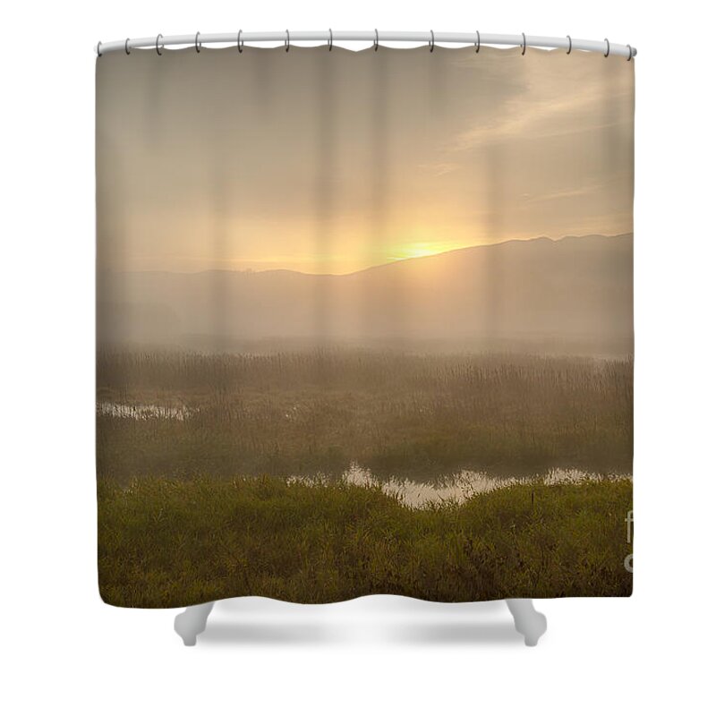 Bonners Ferry Shower Curtain featuring the photograph Refuge by Idaho Scenic Images Linda Lantzy