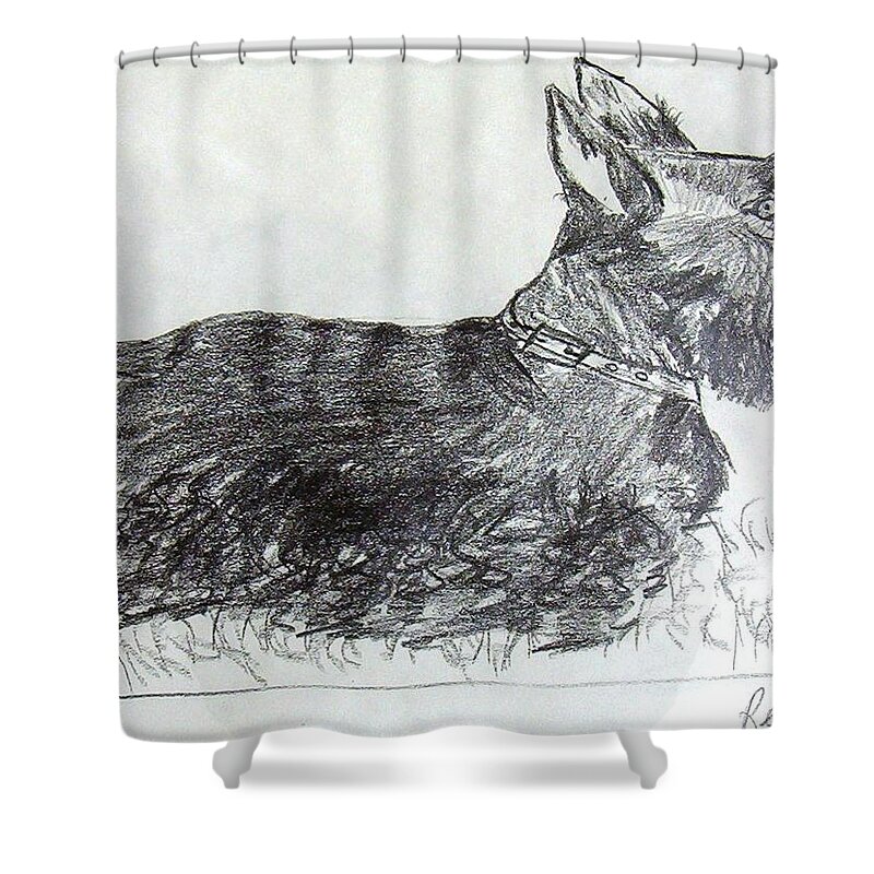Scottie Shower Curtain featuring the drawing Reggie by Jamie Frier