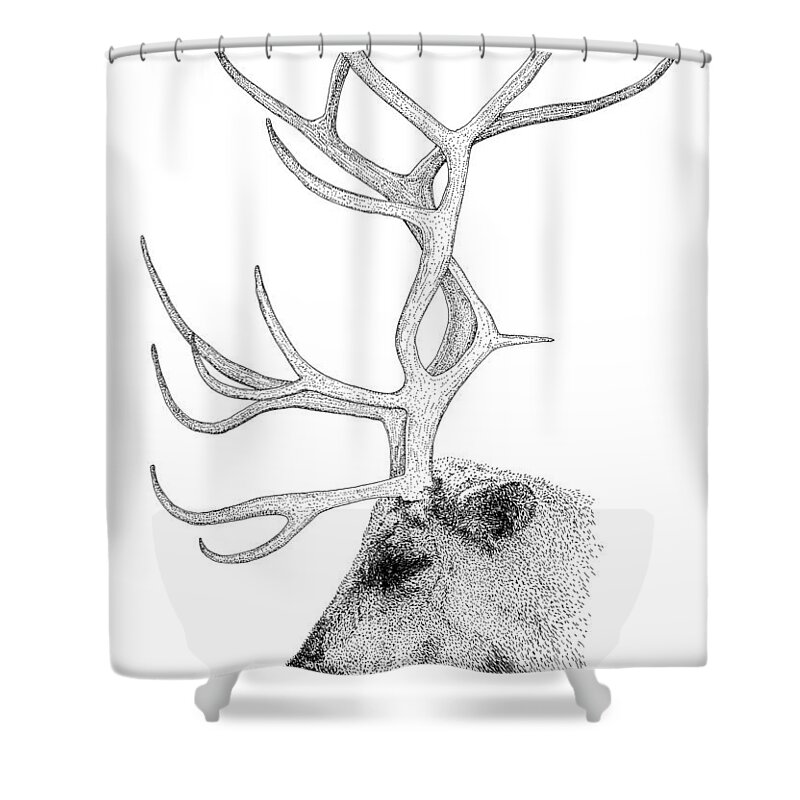 Reindeer Shower Curtain featuring the drawing Reindeer by Scott Woyak