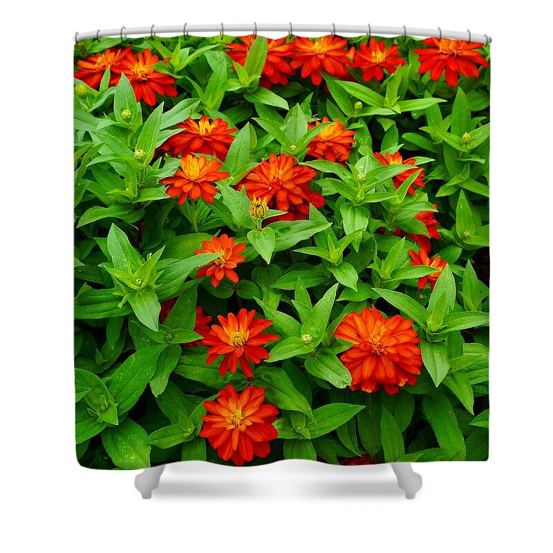  Shower Curtain featuring the photograph Rejuvenate by Rodney Lee Williams