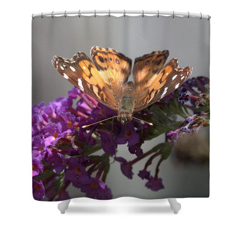 Relaxing Shower Curtain featuring the photograph Relaxing by Shannon Louder