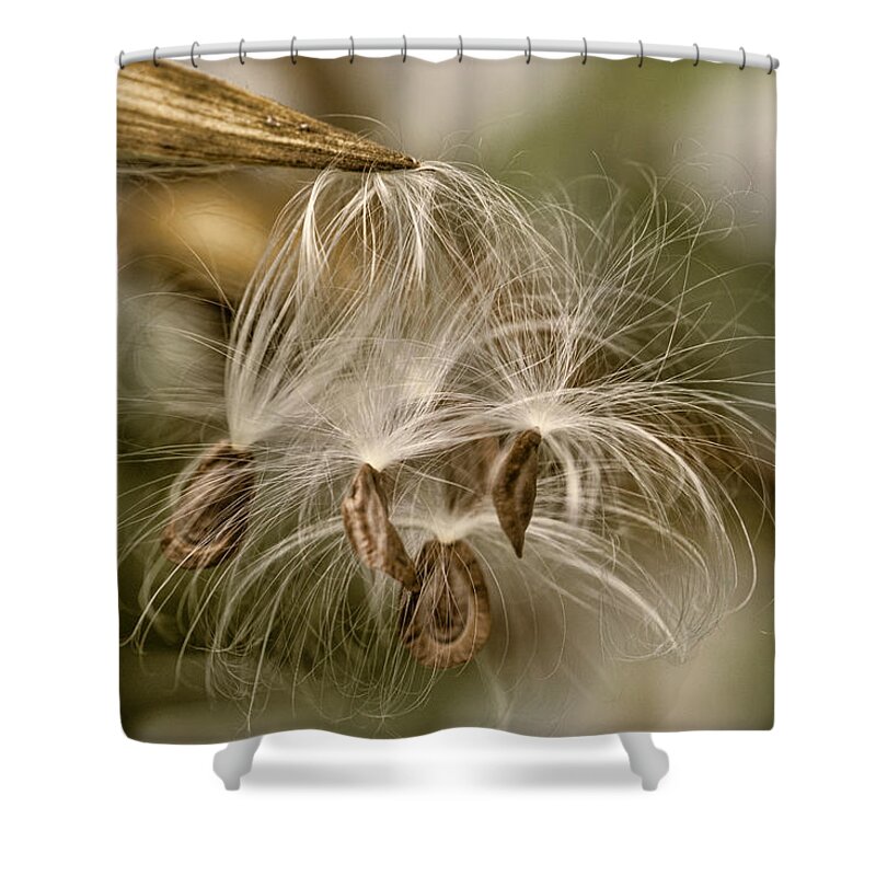Pod Shower Curtain featuring the photograph Released by Cathy Kovarik